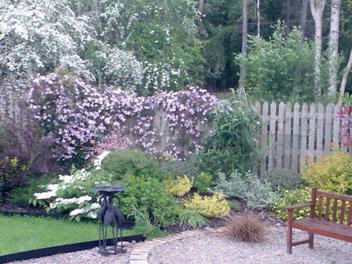 Shrub border Galway